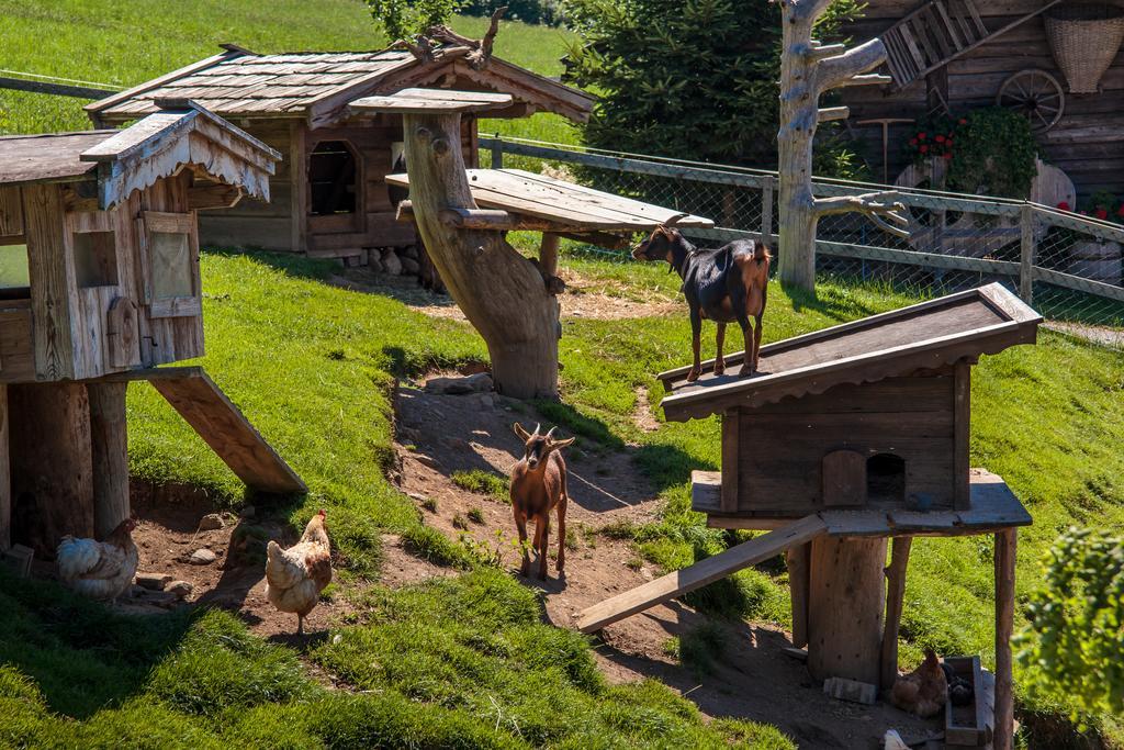 Appartements Gruenholz 伊特尔 外观 照片